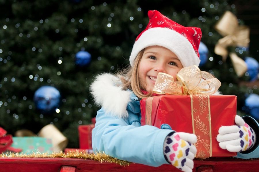 Little girl in Christmas sledge